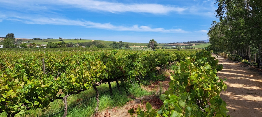 3 Bedroom Property for Sale in Wellington Rural Western Cape